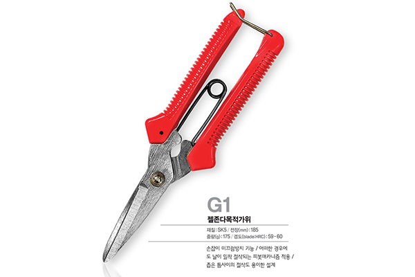 G1