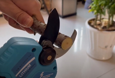 Garden Tools