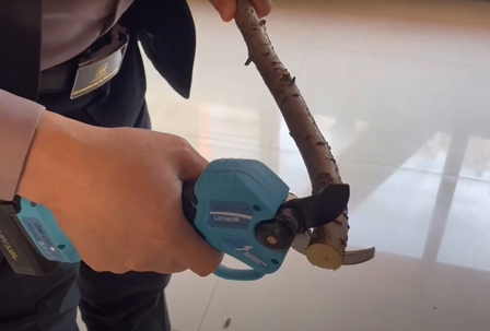 Pruning Shears