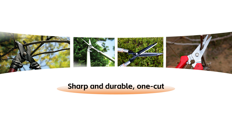 garden-shears-and-tools