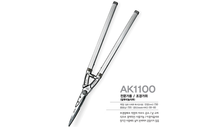 AK1100