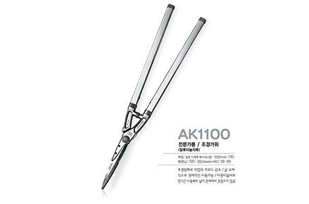 AK1100(3)