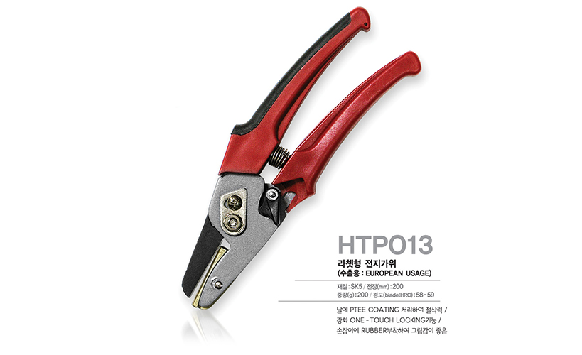 HTP013