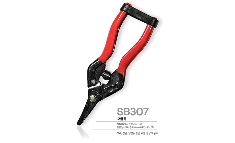 SB307