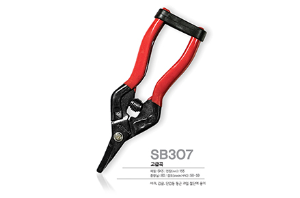 SB307(2)