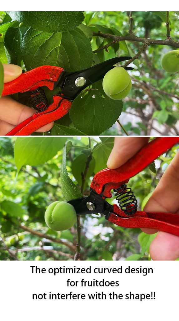 SB308 fruit picker scissors