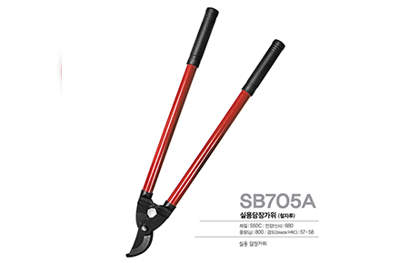 SB705A(2)