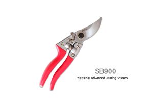 SB900