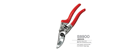 SB900