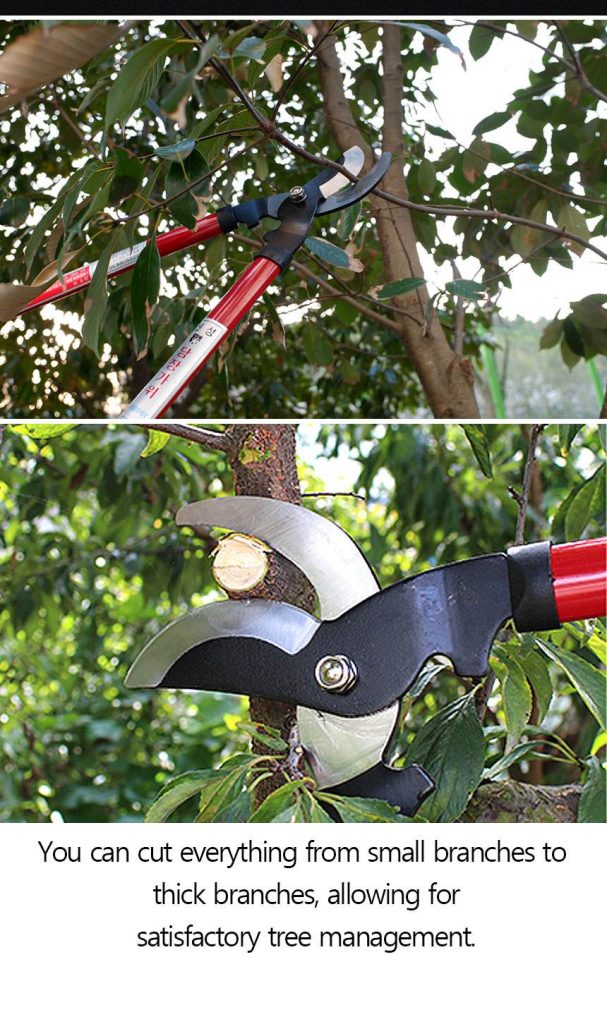 SB705A LOPPER SINSEUNG