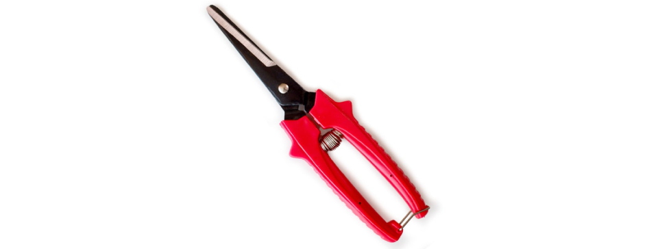 SB304 Garlic and onioin scissors