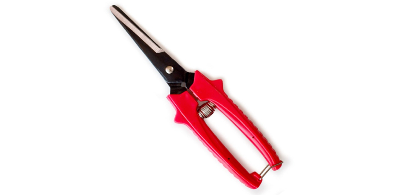SB304 Garlic and onioin scissors