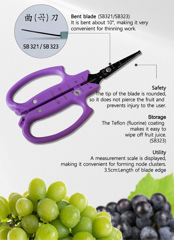 grape scissors