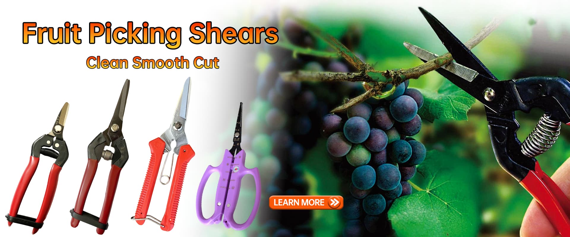 banner5-fruit picking shears-01