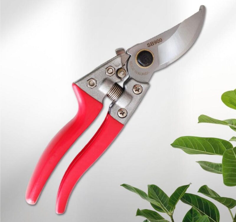 How Bypass Pruning Shears Make Cleaner Plant Cuts
