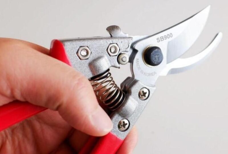 garden shears